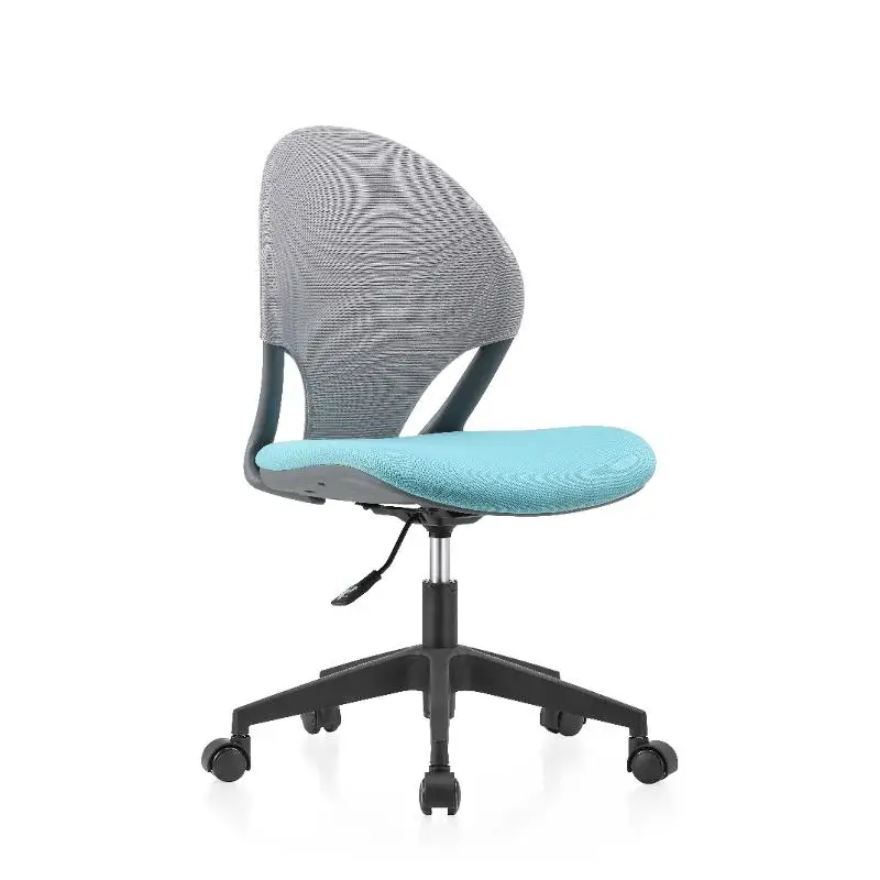 Chaise de bureau ergonomique e - Leatherwork Roller avis et prix