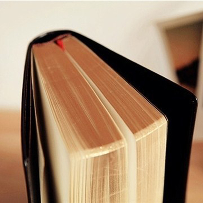 Cahier biblique en cuir optiqu - Leather Work Diary avis et prix